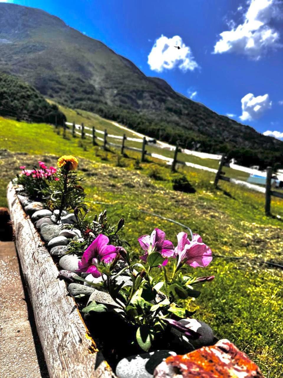 Mountain House Savin Kuk Villa Žabljak Exteriör bild
